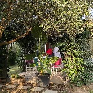  Villa La Maison Sous L'olivier France